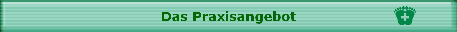 Das Praxisangebot