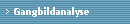 Gangbildanalyse