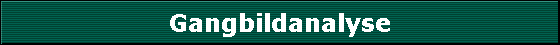 Gangbildanalyse