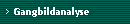 Gangbildanalyse