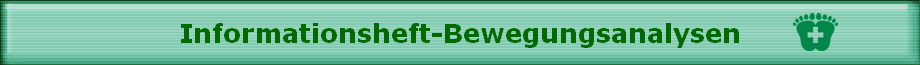 Informationsheft-Bewegungsanalysen